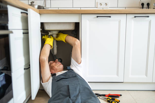 Best 24-Hour Plumber Near Me  in Holden, MO