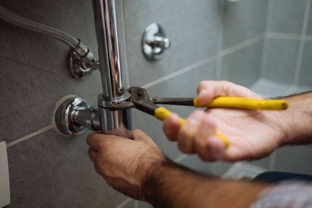 Best Local Plumber Services  in Holden, MO
